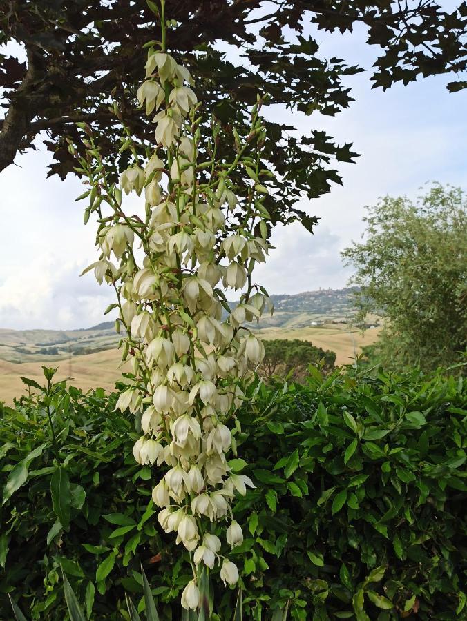 Agriturismo La Spiga Montecatini Val di Cecina Exterior foto