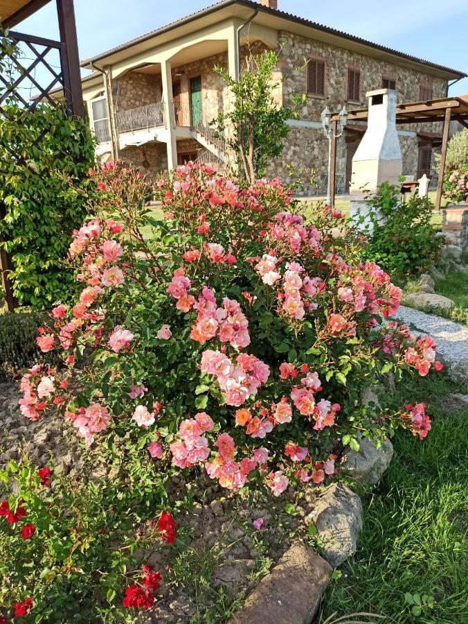Agriturismo La Spiga Montecatini Val di Cecina Exterior foto