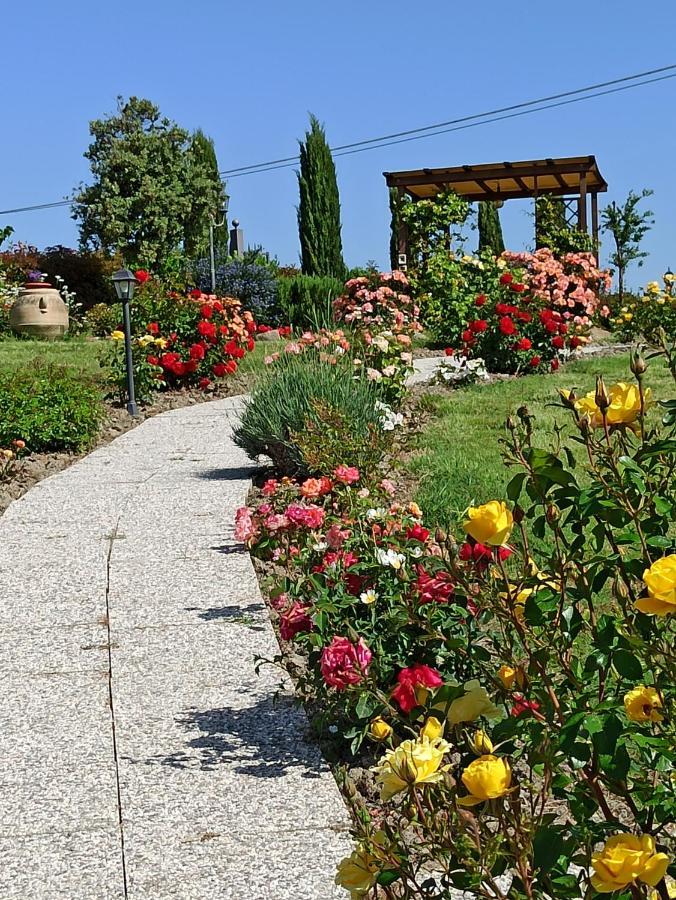 Agriturismo La Spiga Montecatini Val di Cecina Exterior foto